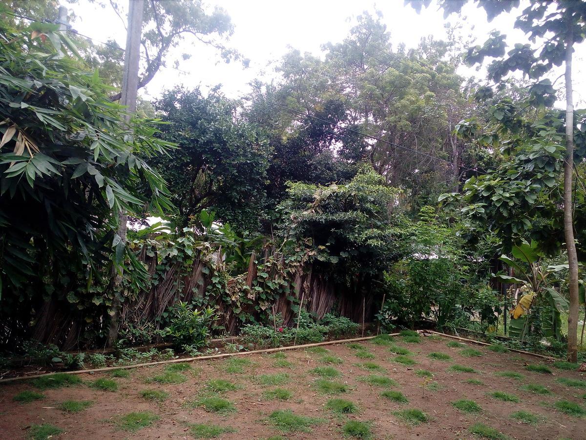 Thuruliya Residence Sigiriya Bagian luar foto